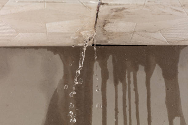 Professional Flood Damage Cleanup technician working in Muscadine, AL